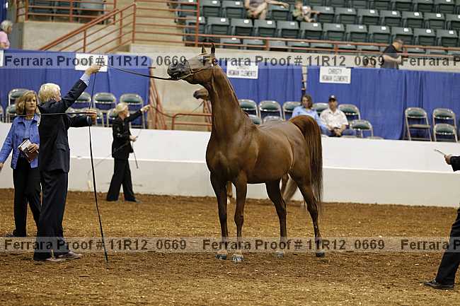 Proof 11r12_0669