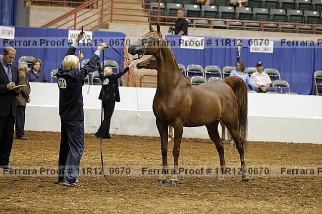 Proof 11r12_0670