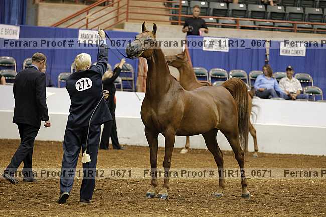Proof 11r12_0671