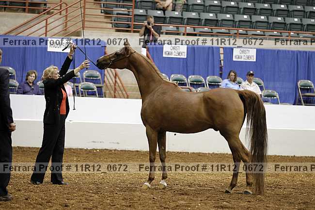Proof 11r12_0672