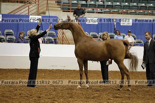 Proof 11r12_0673