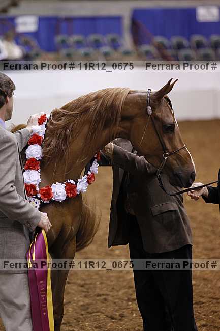 Proof 11r12_0675