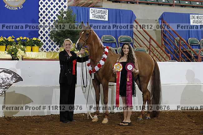 Proof 11r12_0676