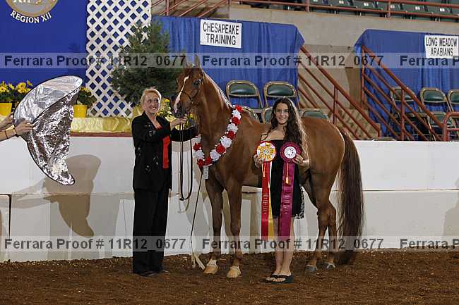 Proof 11r12_0677
