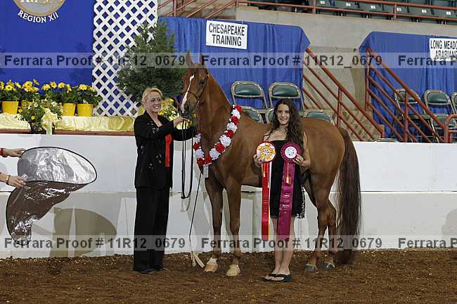 Proof 11r12_0679