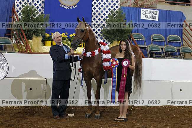 Proof 11r12_0682