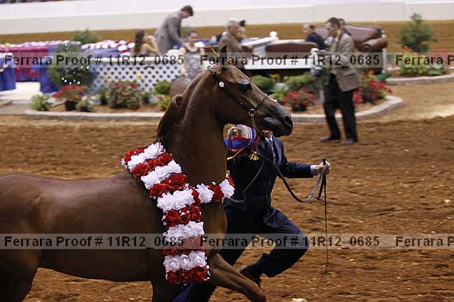 Proof 11r12_0685