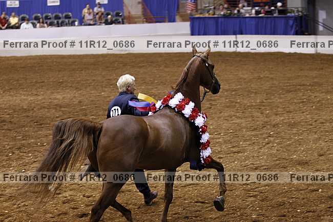 Proof 11r12_0686