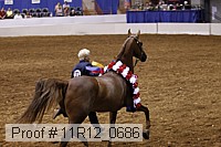 11r12_0686 proof