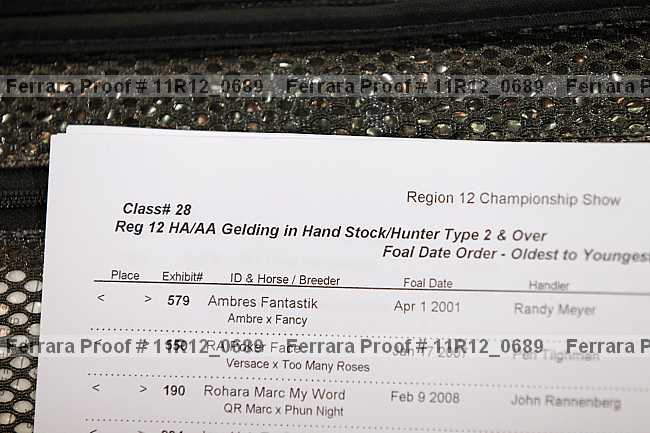 Proof 11r12_0689