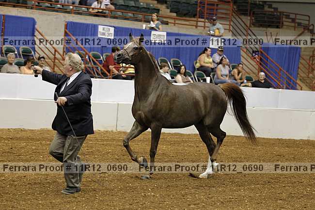 Proof 11r12_0690