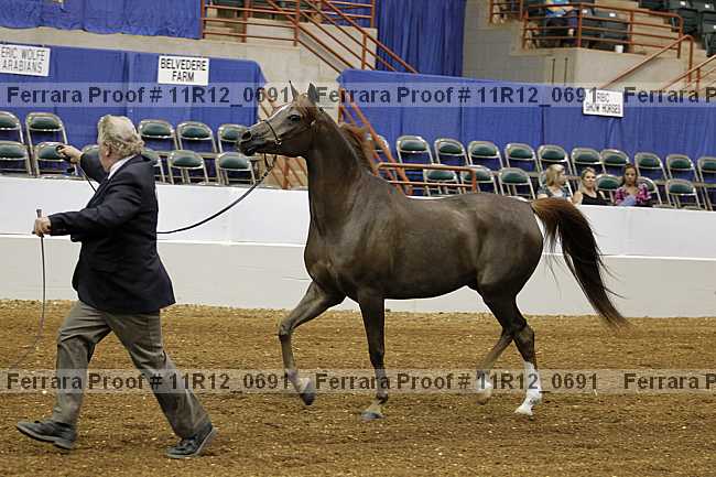 Proof 11r12_0691
