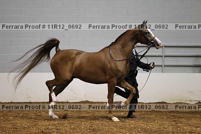 Proof 11r12_0692