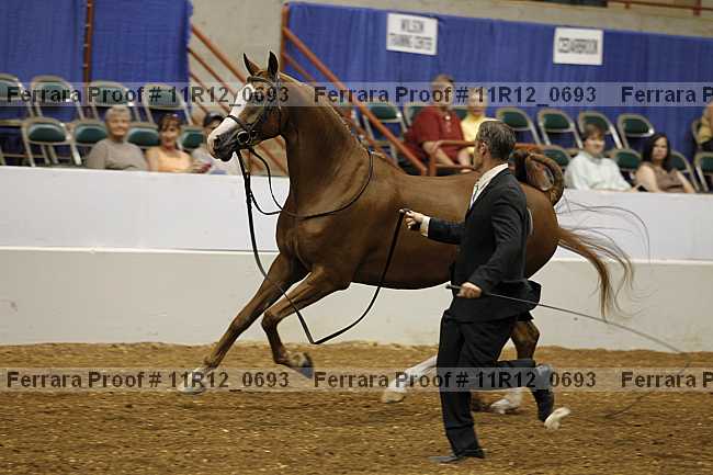 Proof 11r12_0693