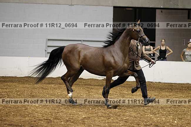 Proof 11r12_0694