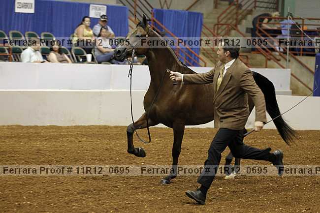 Proof 11r12_0695