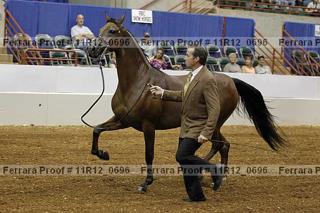 Proof 11r12_0696