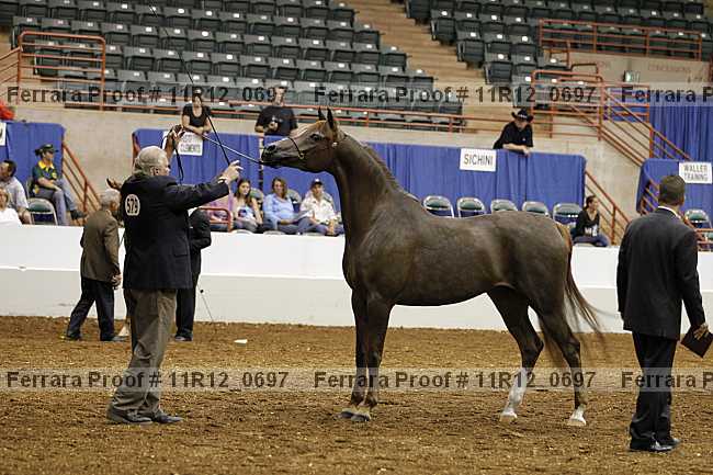 Proof 11r12_0697