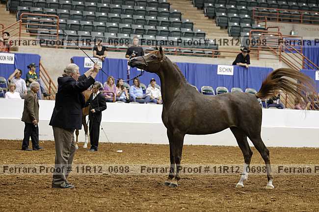 Proof 11r12_0698