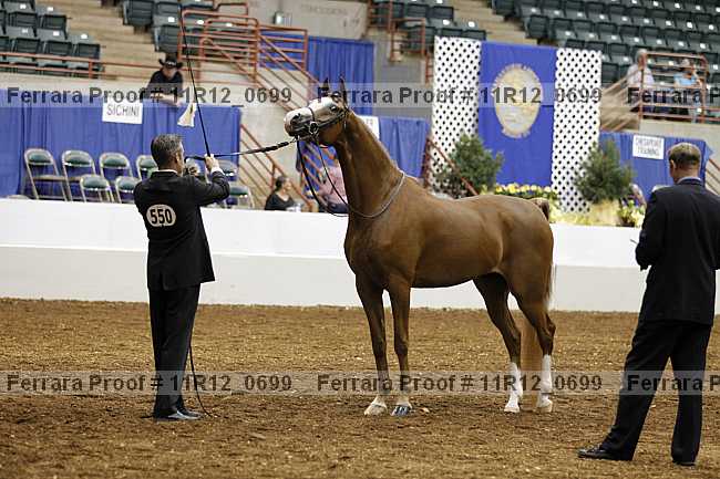 Proof 11r12_0699