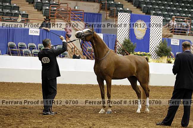 Proof 11r12_0700