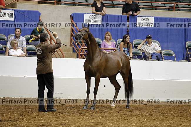 Proof 11r12_0703
