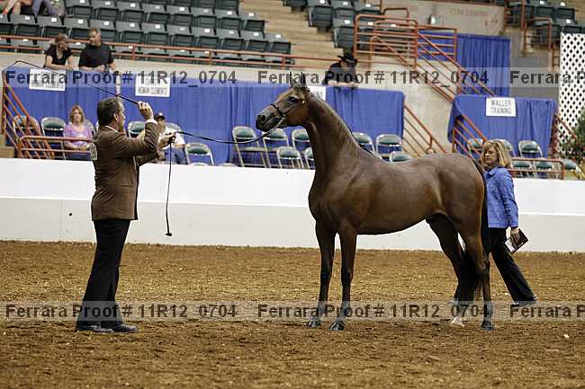 Proof 11r12_0704