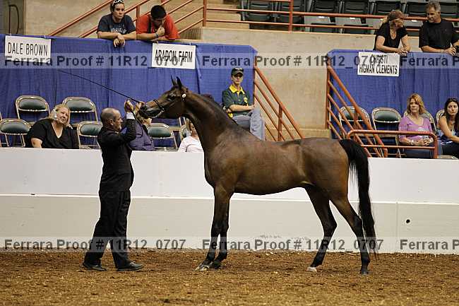 Proof 11r12_0707