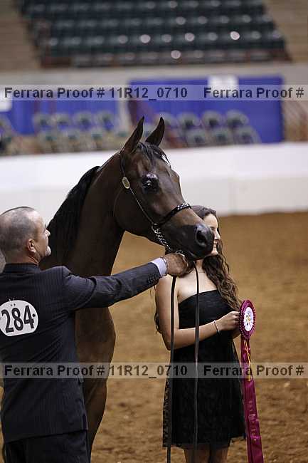 Proof 11r12_0710