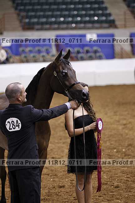 Proof 11r12_0711