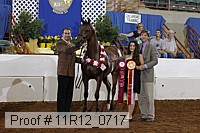 11r12_0717 proof