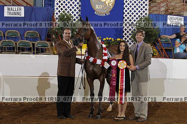 Proof 11r12_0718