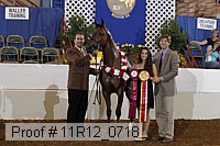 11r12_0718 proof