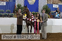 11r12_0719 proof