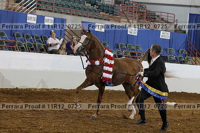 Proof 11r12_0725