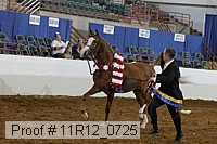 11r12_0725 proof