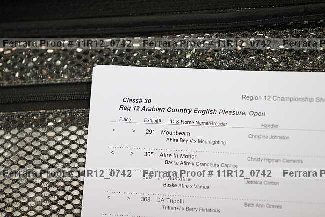 Proof 11r12_0742