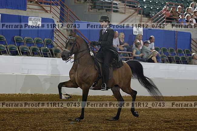 Proof 11r12_0743