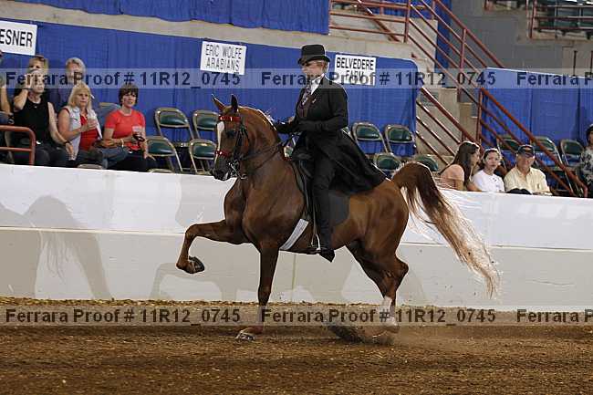 Proof 11r12_0745