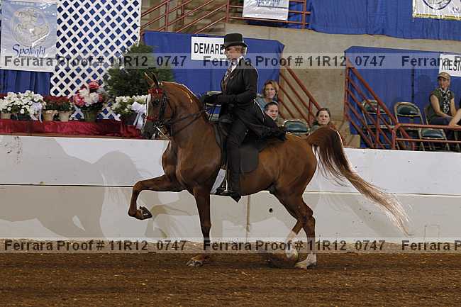 Proof 11r12_0747