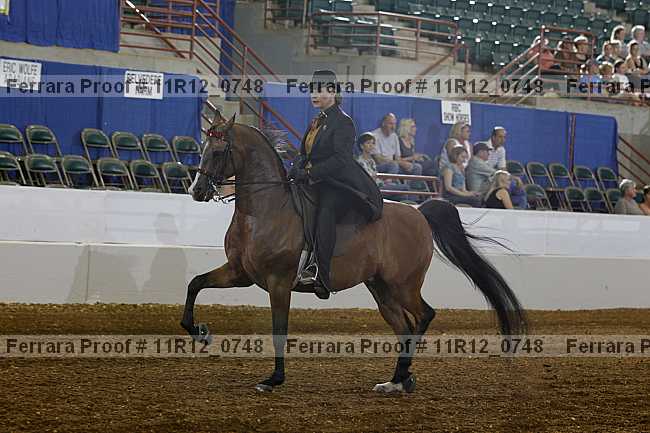 Proof 11r12_0748