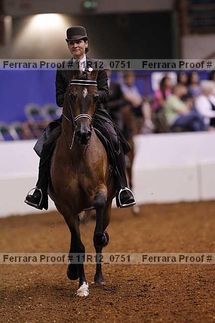 Proof 11r12_0751