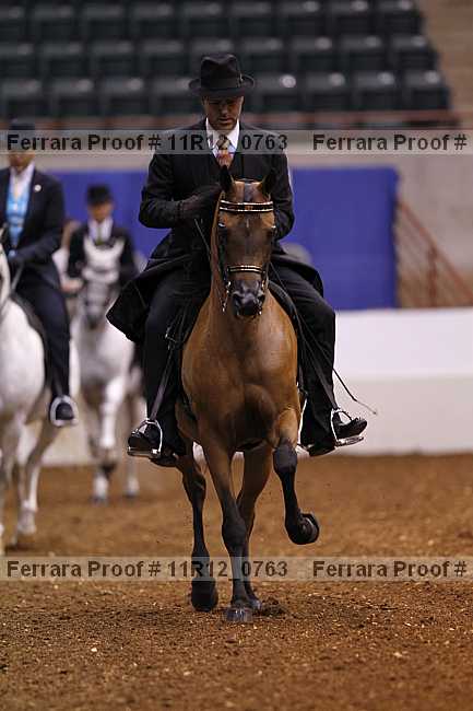 Proof 11r12_0763
