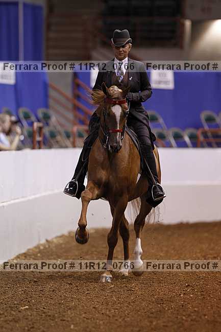 Proof 11r12_0766