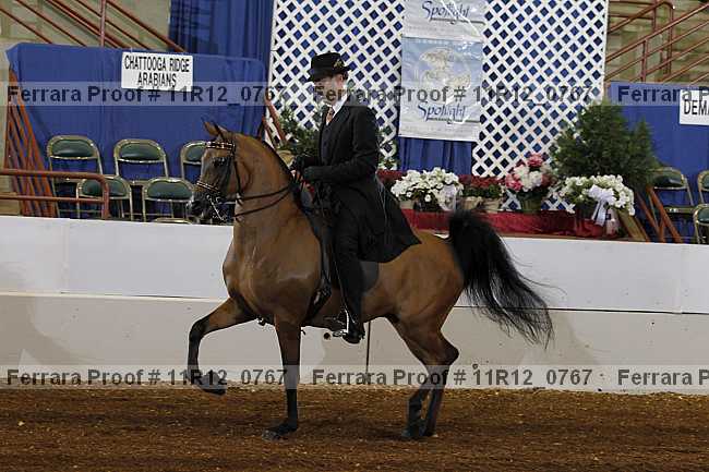Proof 11r12_0767