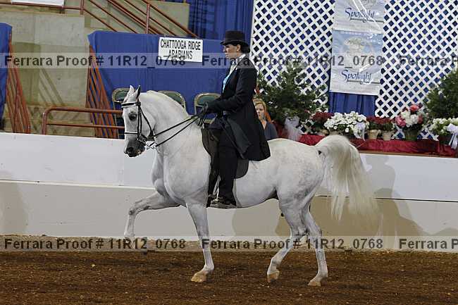 Proof 11r12_0768