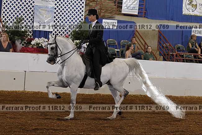 Proof 11r12_0769