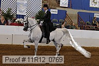 11r12_0769 proof