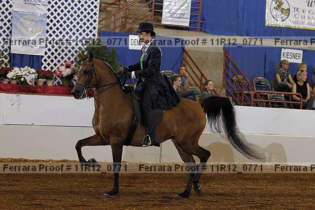 Proof 11r12_0771