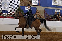 11r12_0771 proof